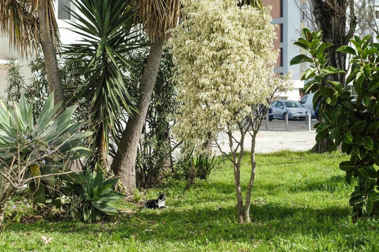 Olive Grove Apartment By Trip2Portugal Lisboa Dış mekan fotoğraf